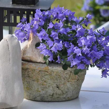 Bavaria Muenchen * Icking