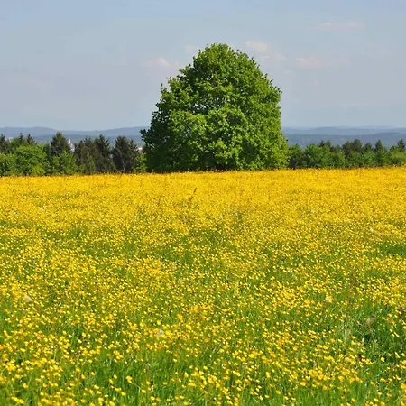 Bed & Breakfast Bavaria Muenchen