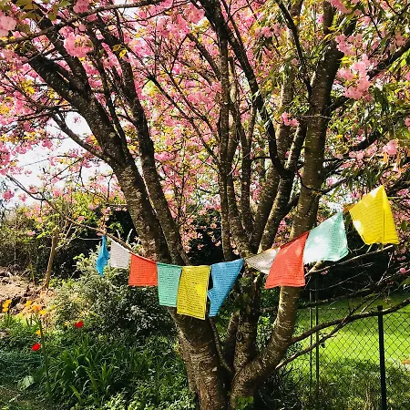 Bed & Breakfast Bavaria Muenchen