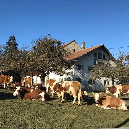 Bavaria Muenchen Bed & Breakfast